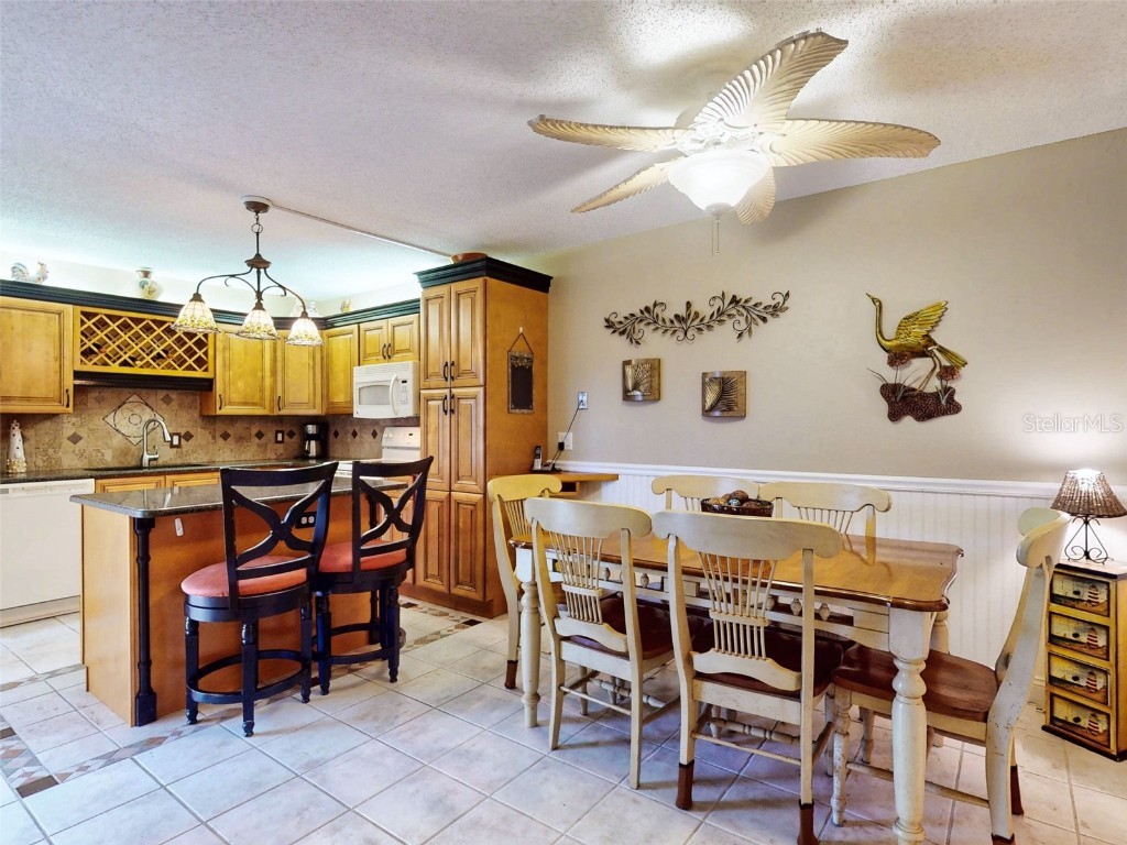 133 Cedar Dunes Drive New Smyrna Beach FL 32169 NS1084452 image2