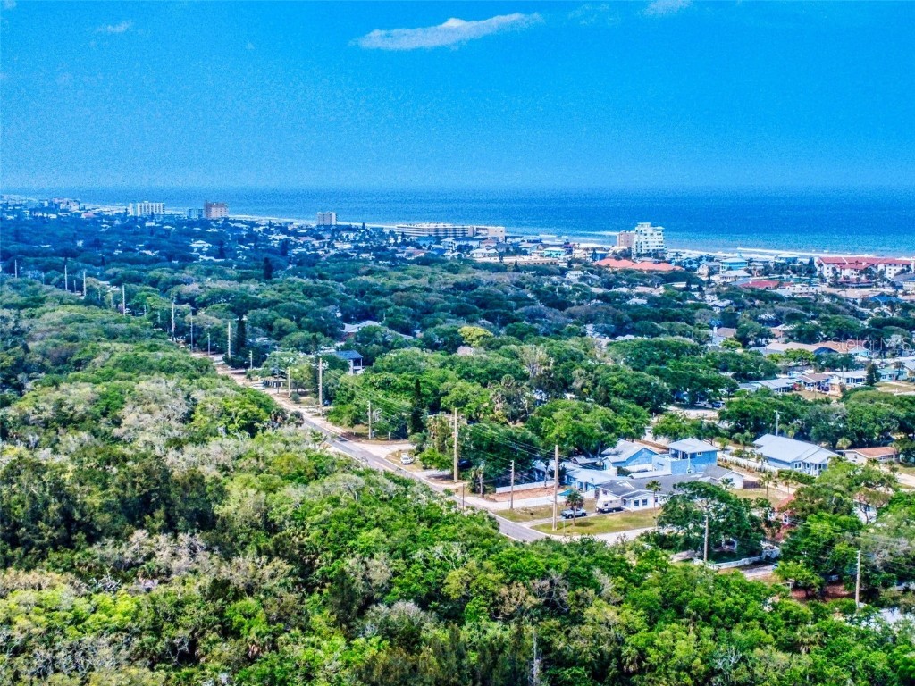 133 Cedar Dunes Drive New Smyrna Beach FL 32169 NS1084452 image53