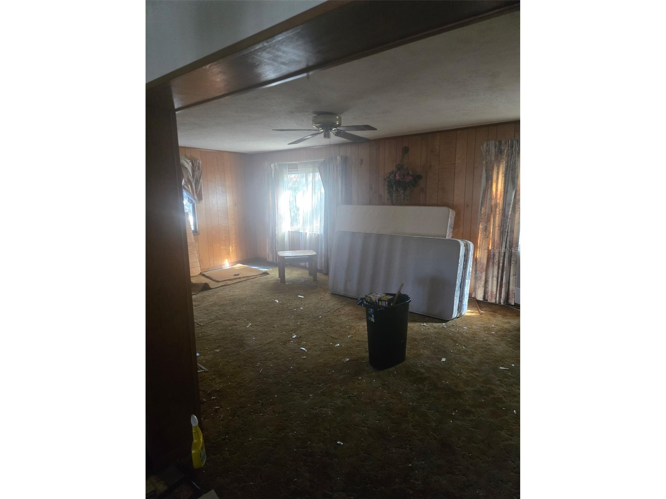 133 Dahlia Court Altamonte Springs FL 32714 TB8479214 image3