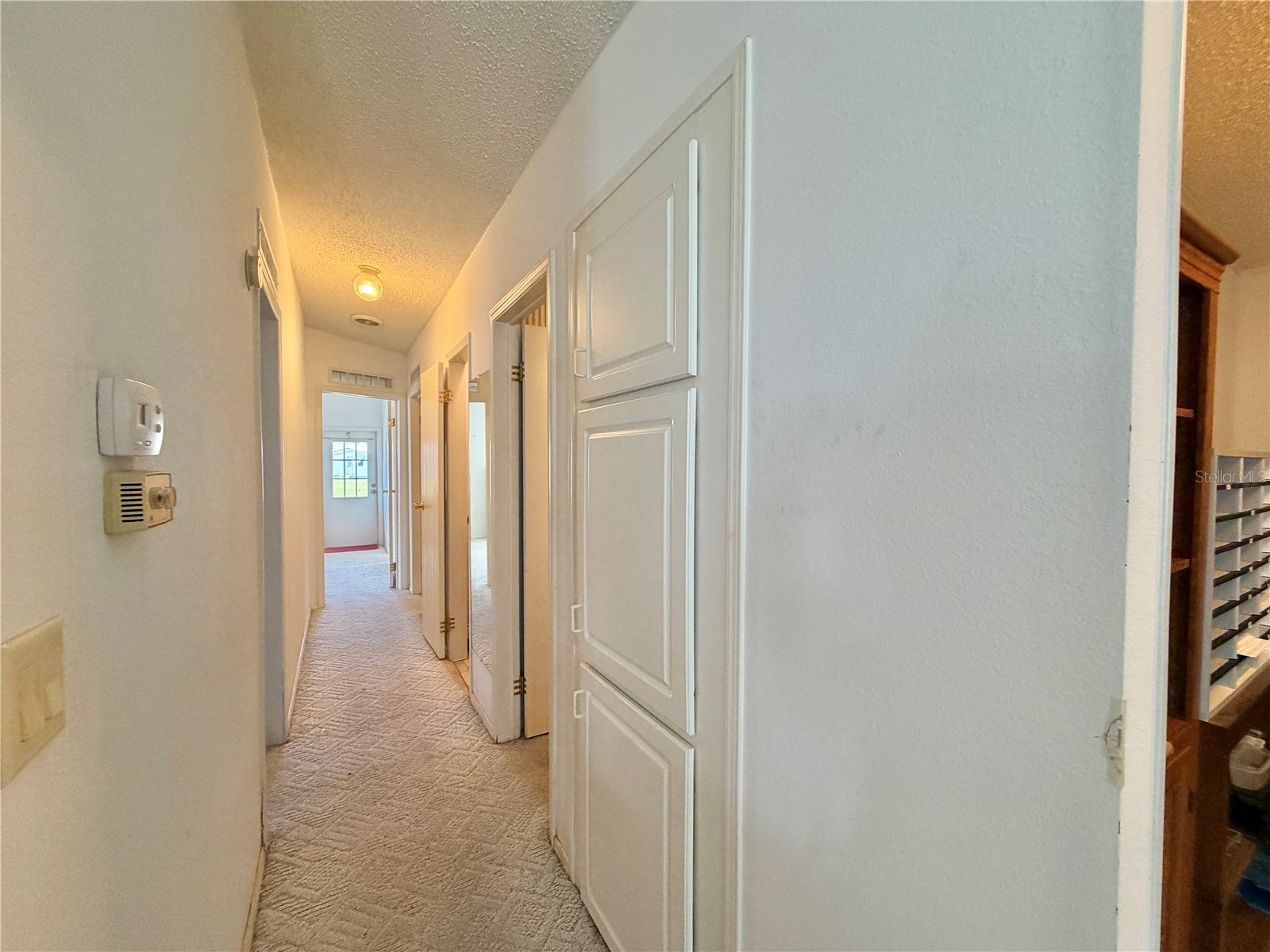 133 Dogwood Trail Leesburg FL 34748 G5114651 image28