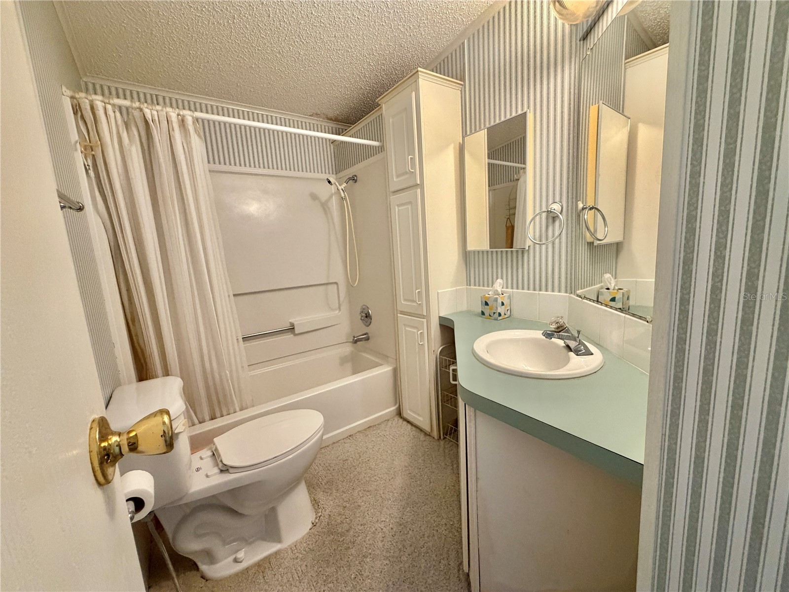 133 Dogwood Trail Leesburg FL 34748 G5114651 image33