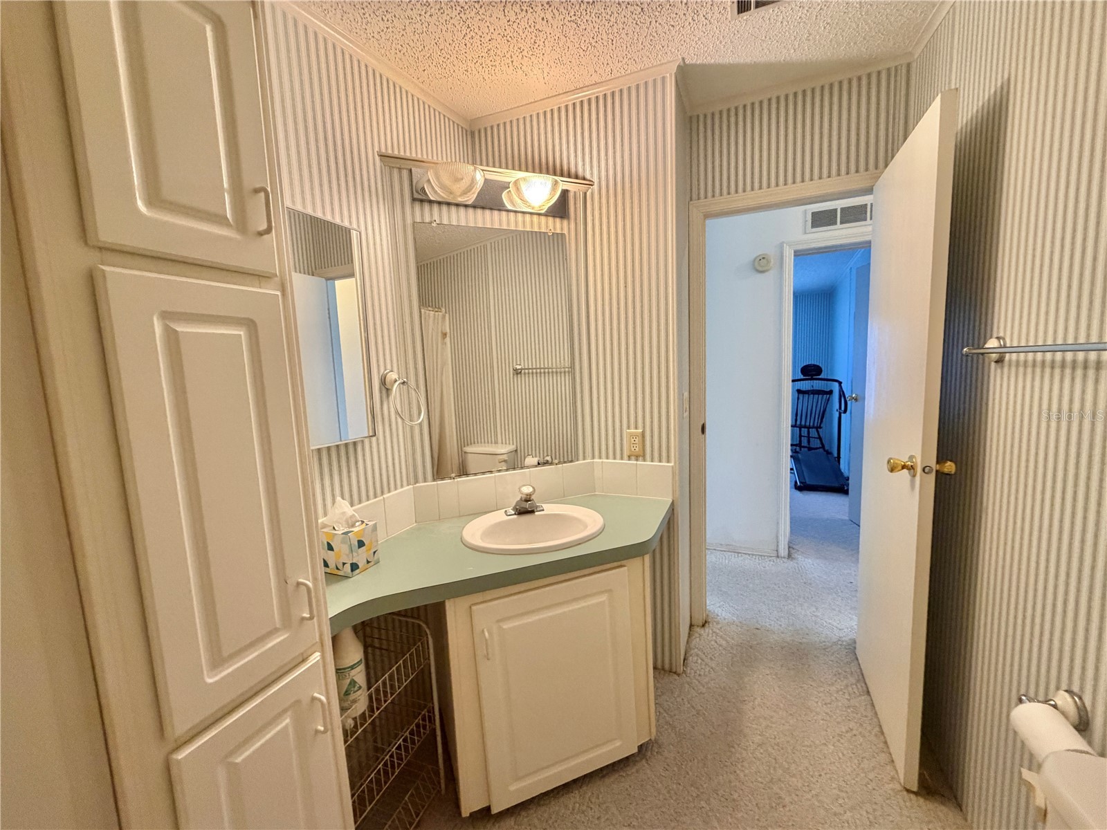 133 Dogwood Trail Leesburg FL 34748 G5114651 image34