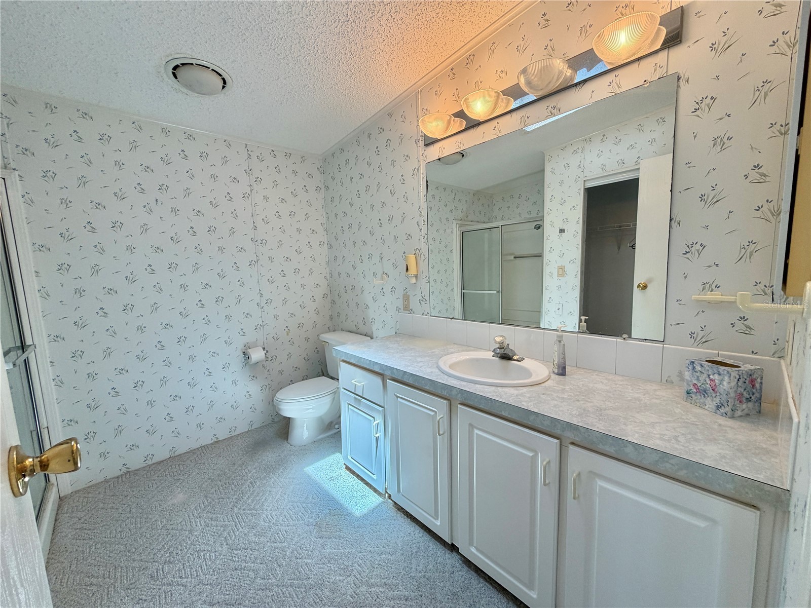 133 Dogwood Trail Leesburg FL 34748 G5114651 image42