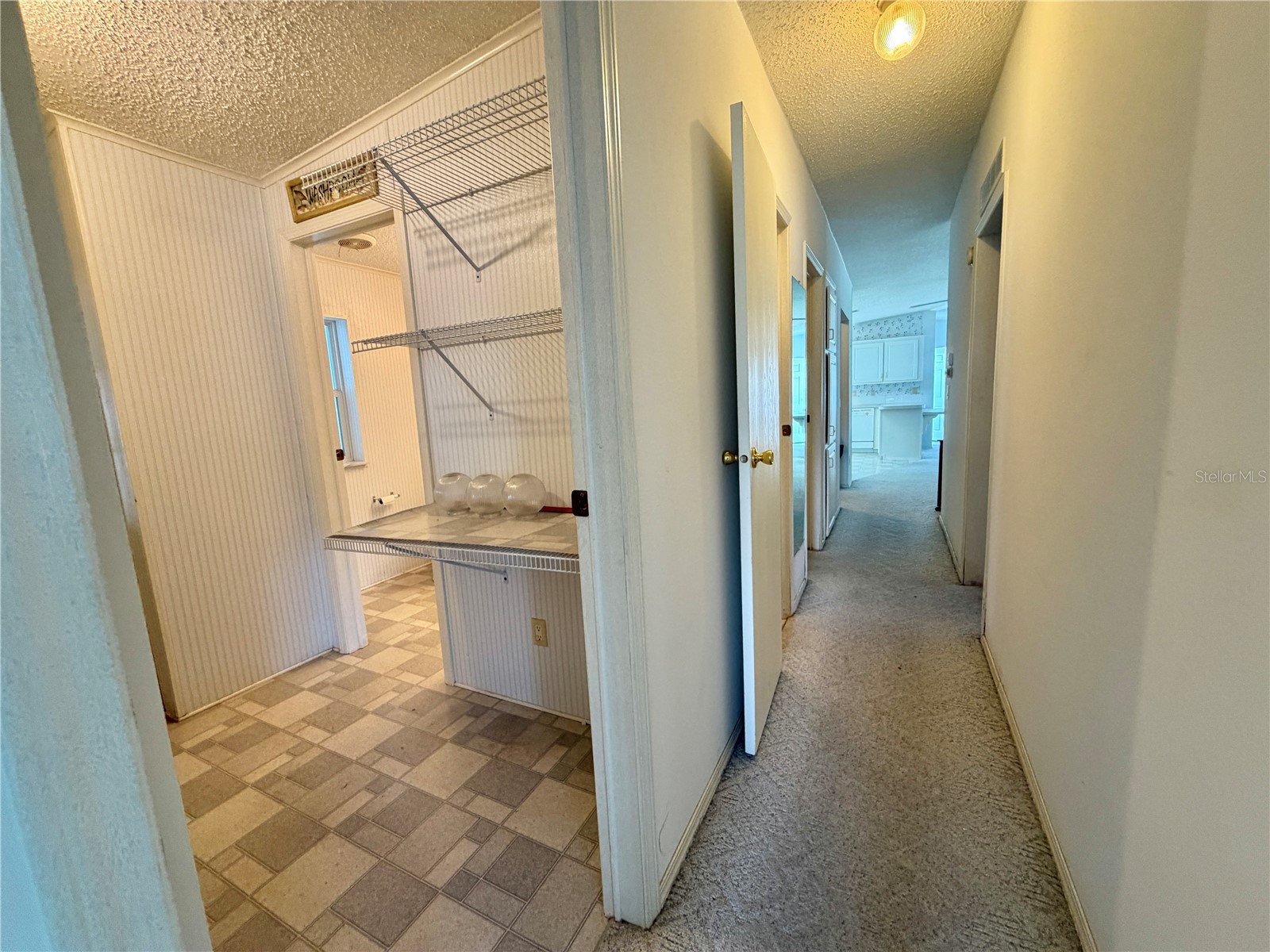 133 Dogwood Trail Leesburg FL 34748 G5114651 image47