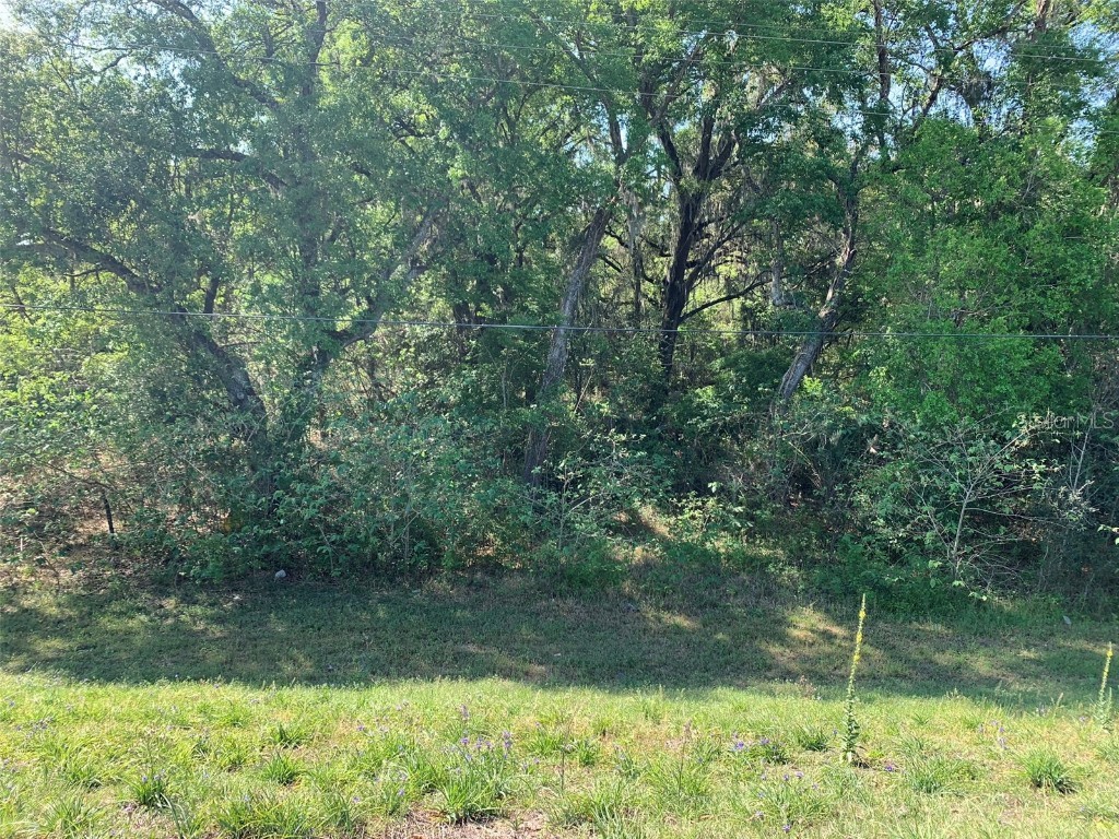 133 E County Road 462 Wildwood FL 34785 G5066262 image1