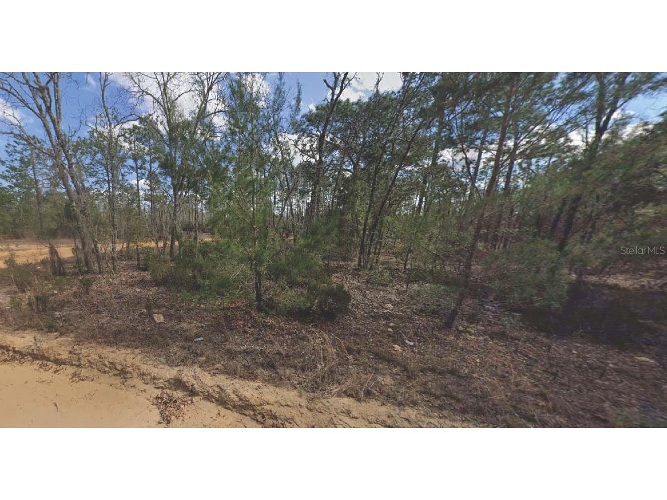 133 Lake Lucy Court Interlachen FL 32148 OM715762 image1