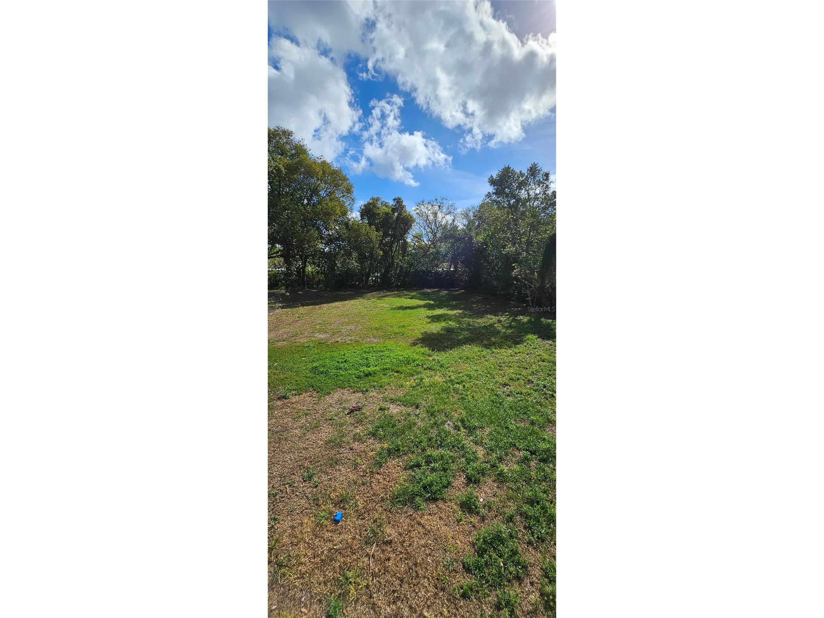 133 Lucie Avenue Deland FL 32720 V4949177 image11