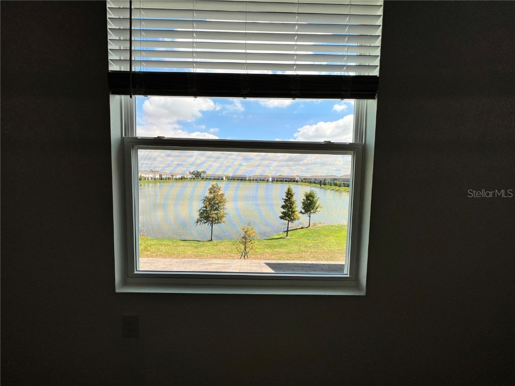 133 Mangrove Shade Circle Apollo Beach FL 33572 TB8433081 image24