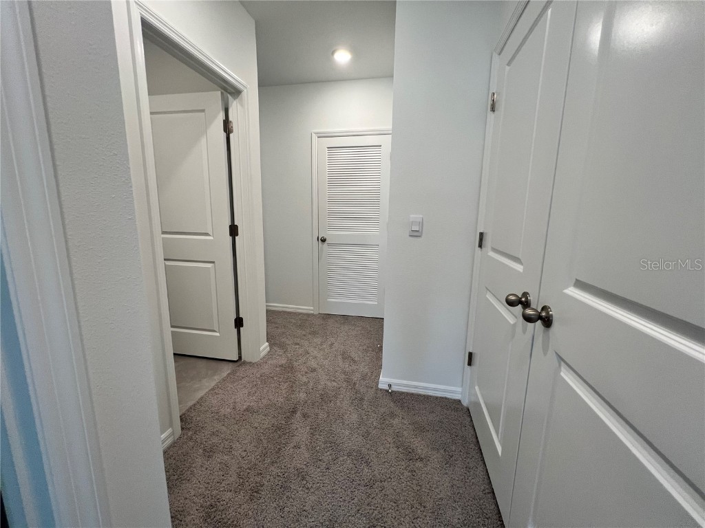 133 Mangrove Shade Circle Apollo Beach FL 33572 TB8433081 image32