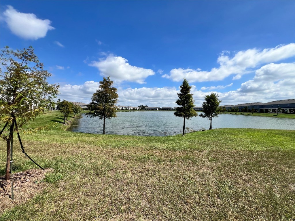 133 Mangrove Shade Circle Apollo Beach FL 33572 TB8433081 image37