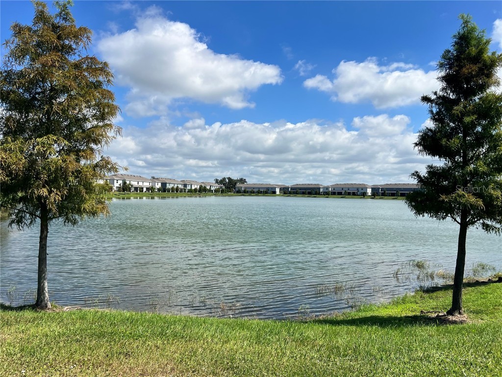 133 Mangrove Shade Circle Apollo Beach FL 33572 TB8433081 image38