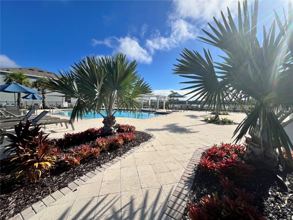 133 Mangrove Shade Circle Apollo Beach FL 33572 TB8433081 image44