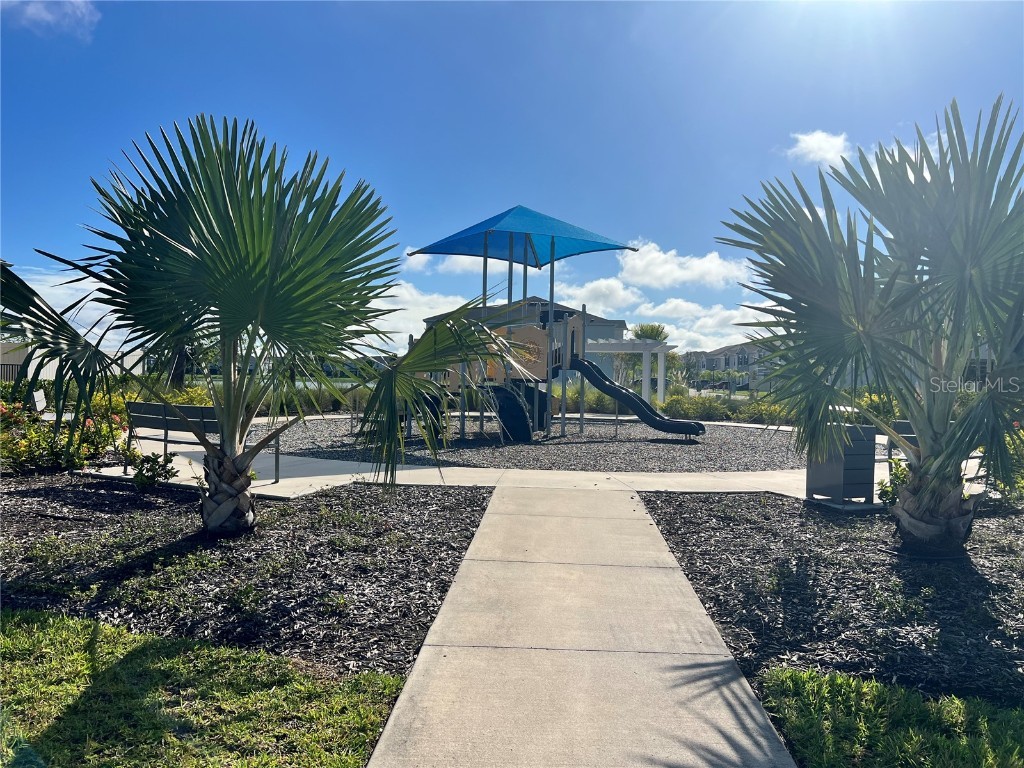 133 Mangrove Shade Circle Apollo Beach FL 33572 TB8433081 image45