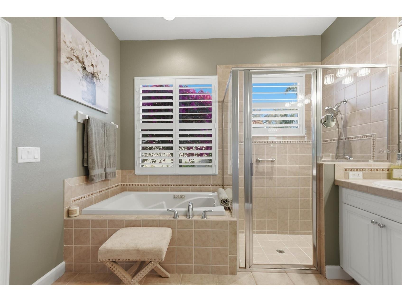 133 Medici Terrace North Venice FL 34275 N6142294 image40