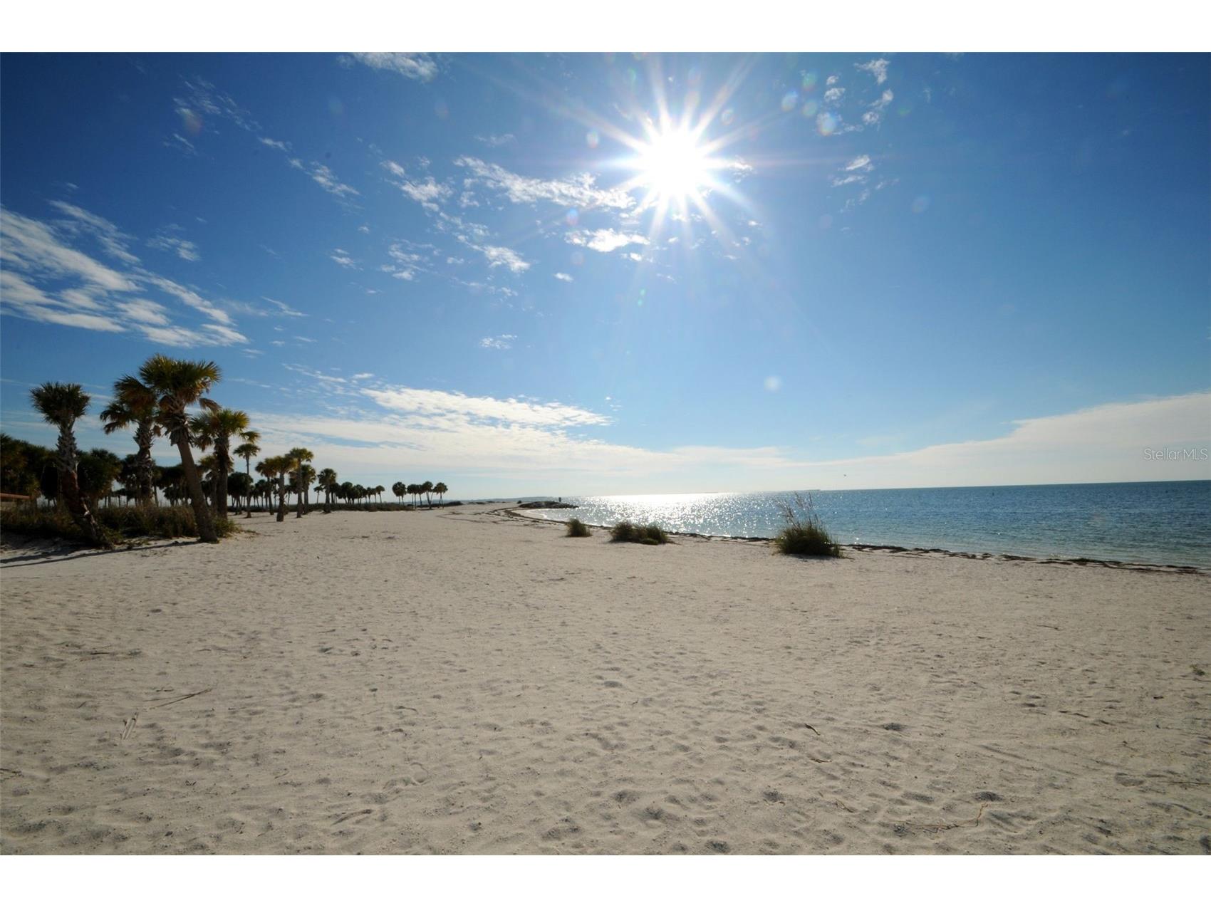 133 N Pinellas Avenue Tarpon Springs FL 34689 W7883780 image68