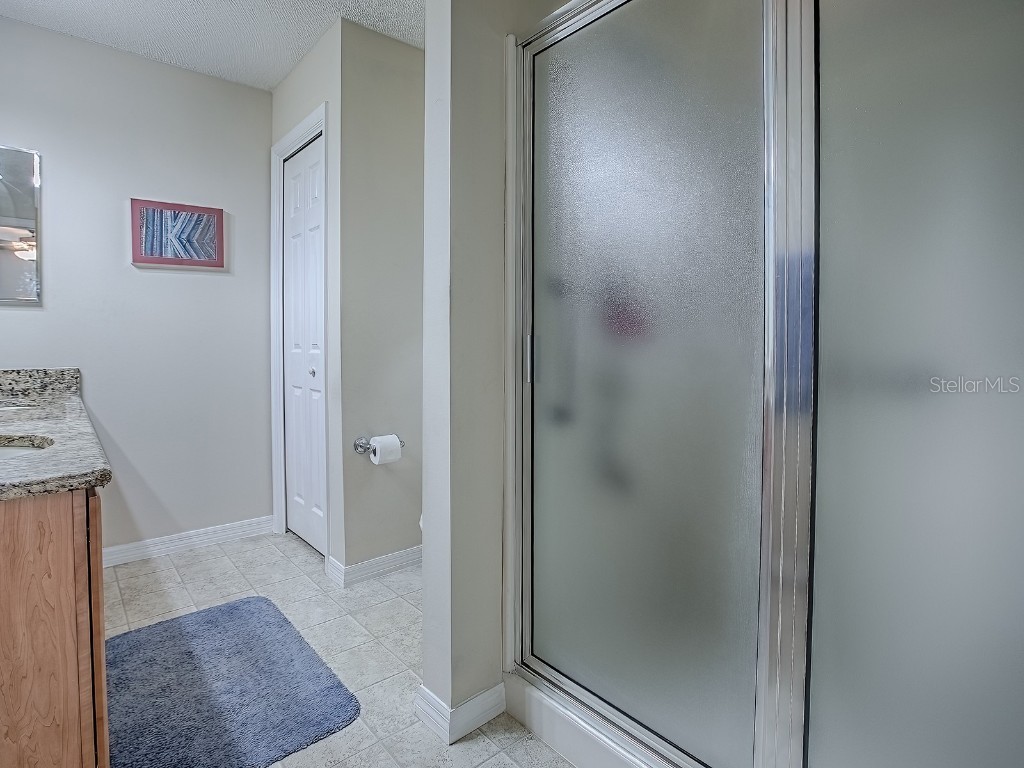 133 Olanta Drive The Villages FL 32162 G5103299 image24