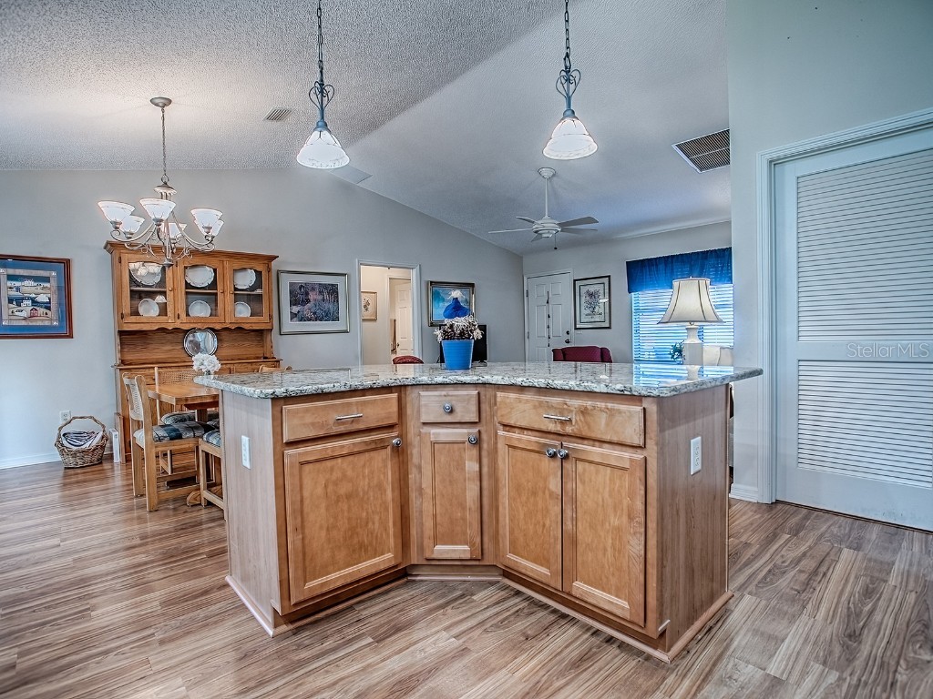 133 Olanta Drive The Villages FL 32162 G5103299 image9