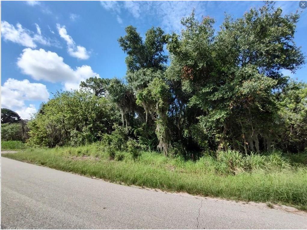 133 S Huntley Drive Lake Placid FL 33852 J965105 image1