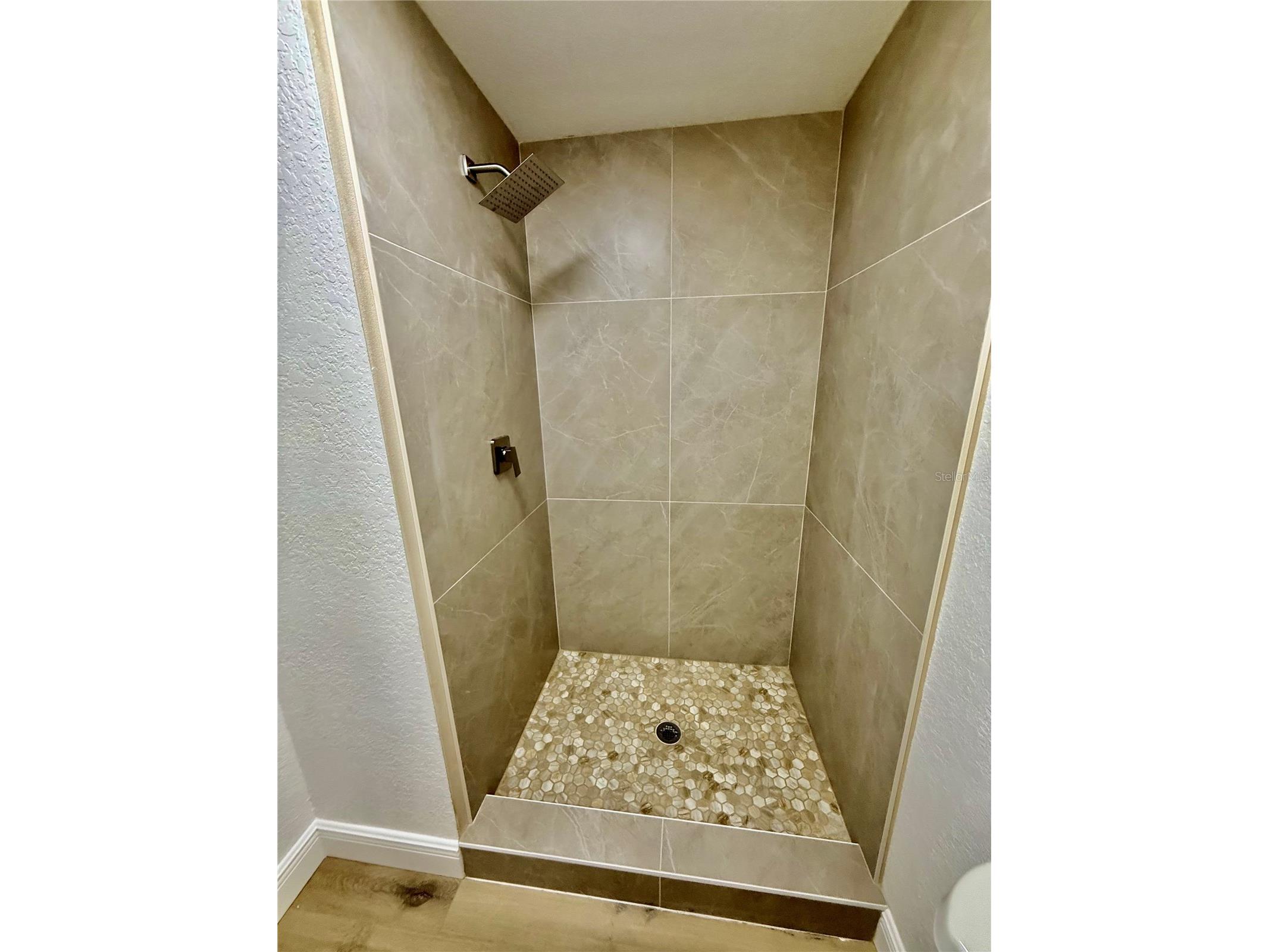 133 Sabal Court #B Oldsmar FL 34677 TB8475994 image3