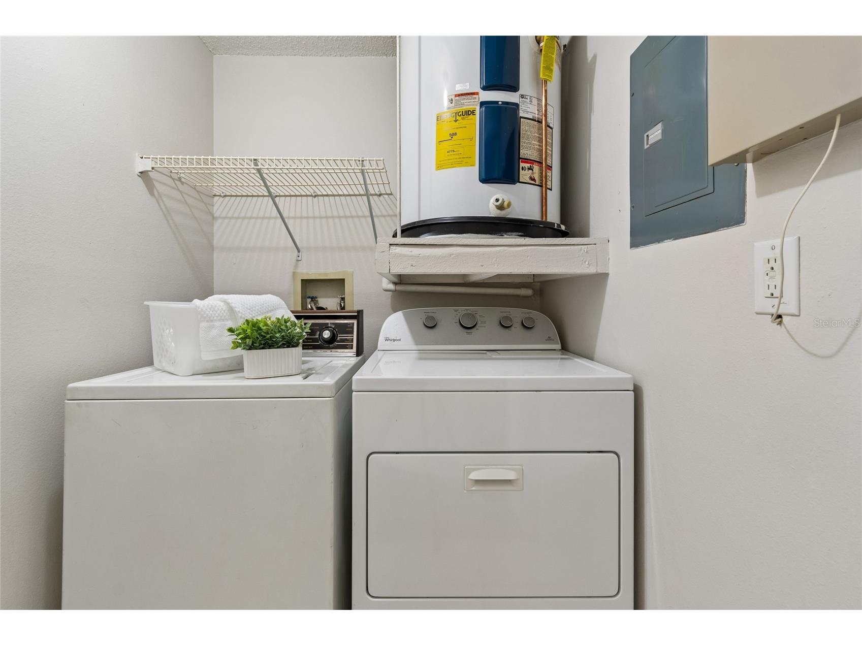 133 Sabal Court #G Oldsmar FL 34677 TB8514567 image32