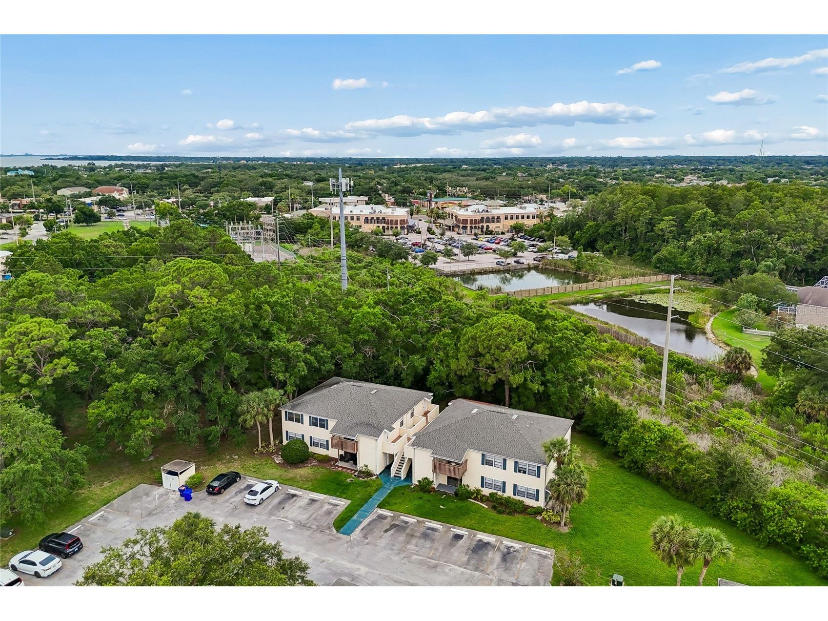 133 Sabal Court #G Oldsmar FL 34677 TB8514567 image38
