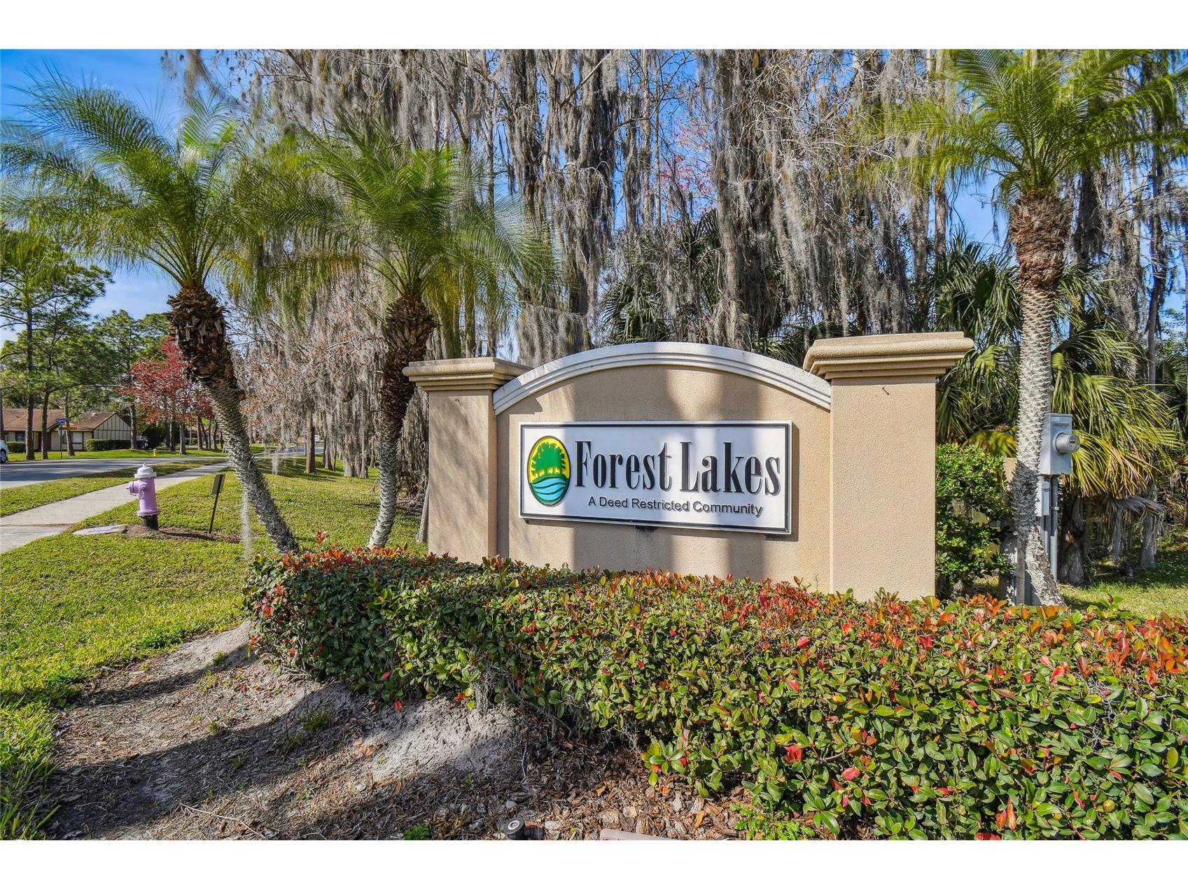 133 Sabal Court #G Oldsmar FL 34677 TB8514567 image40