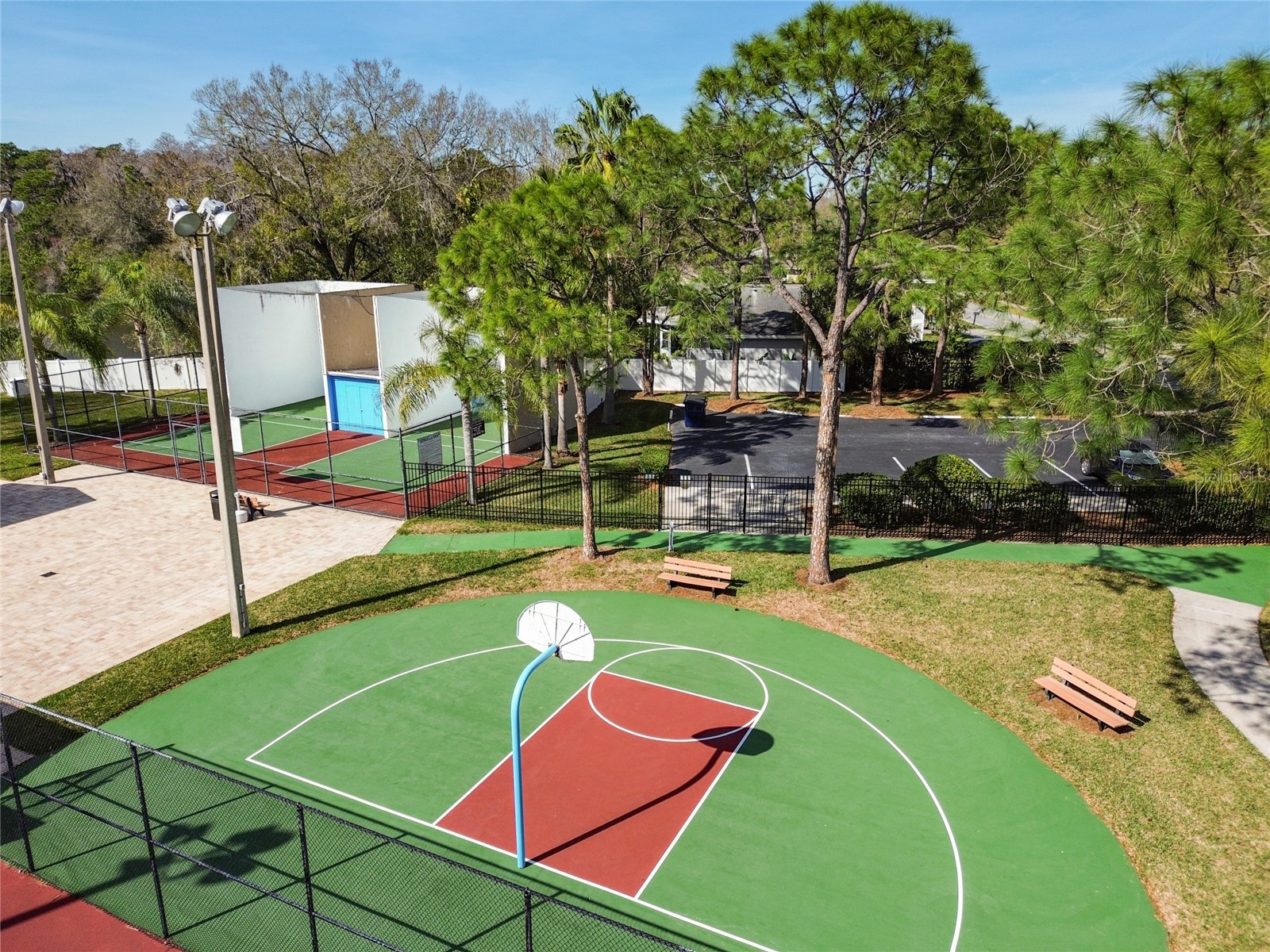 133 Sabal Court #G Oldsmar FL 34677 TB8514567 image42
