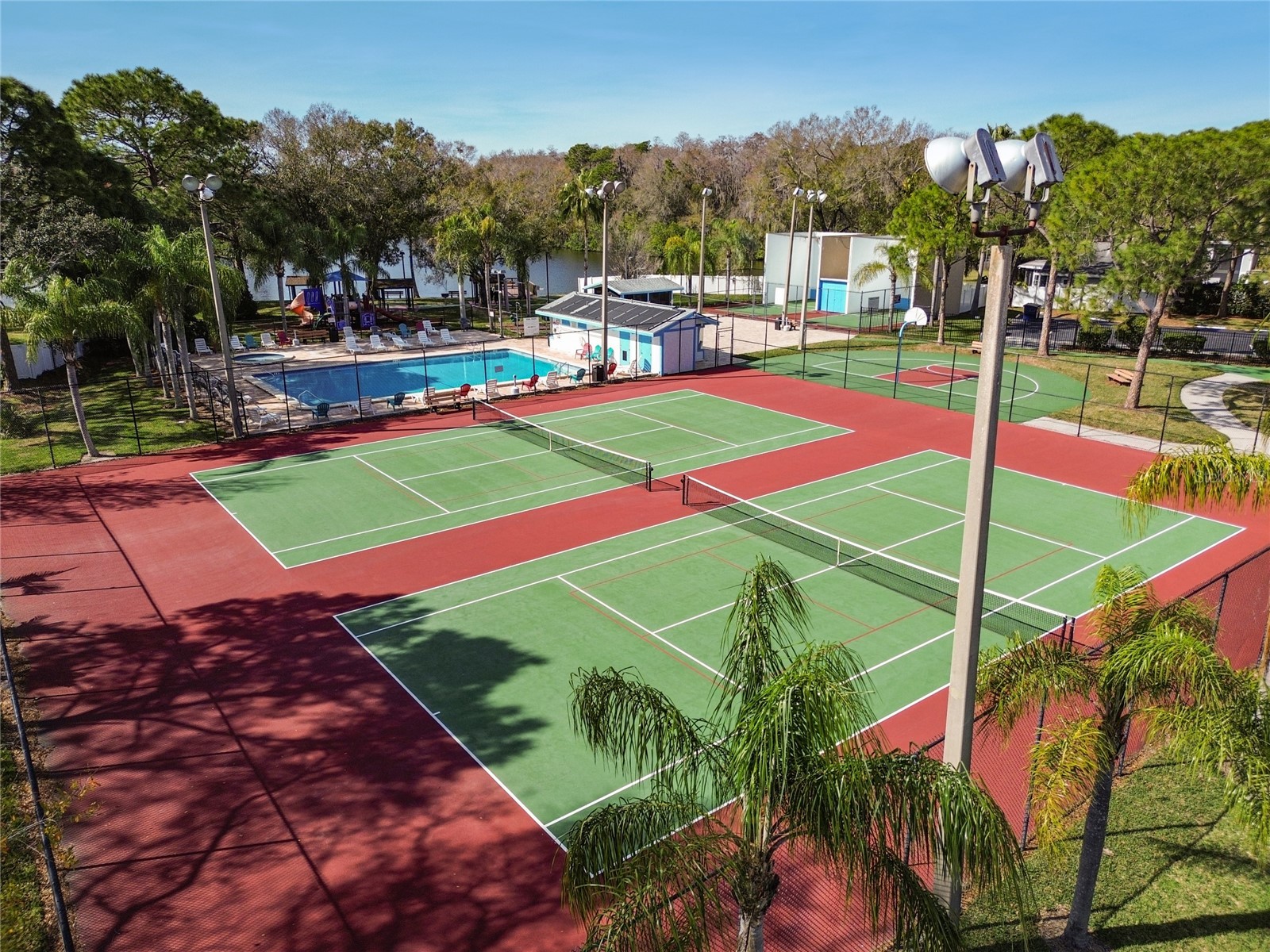 133 Sabal Court #G Oldsmar FL 34677 TB8514567 image43
