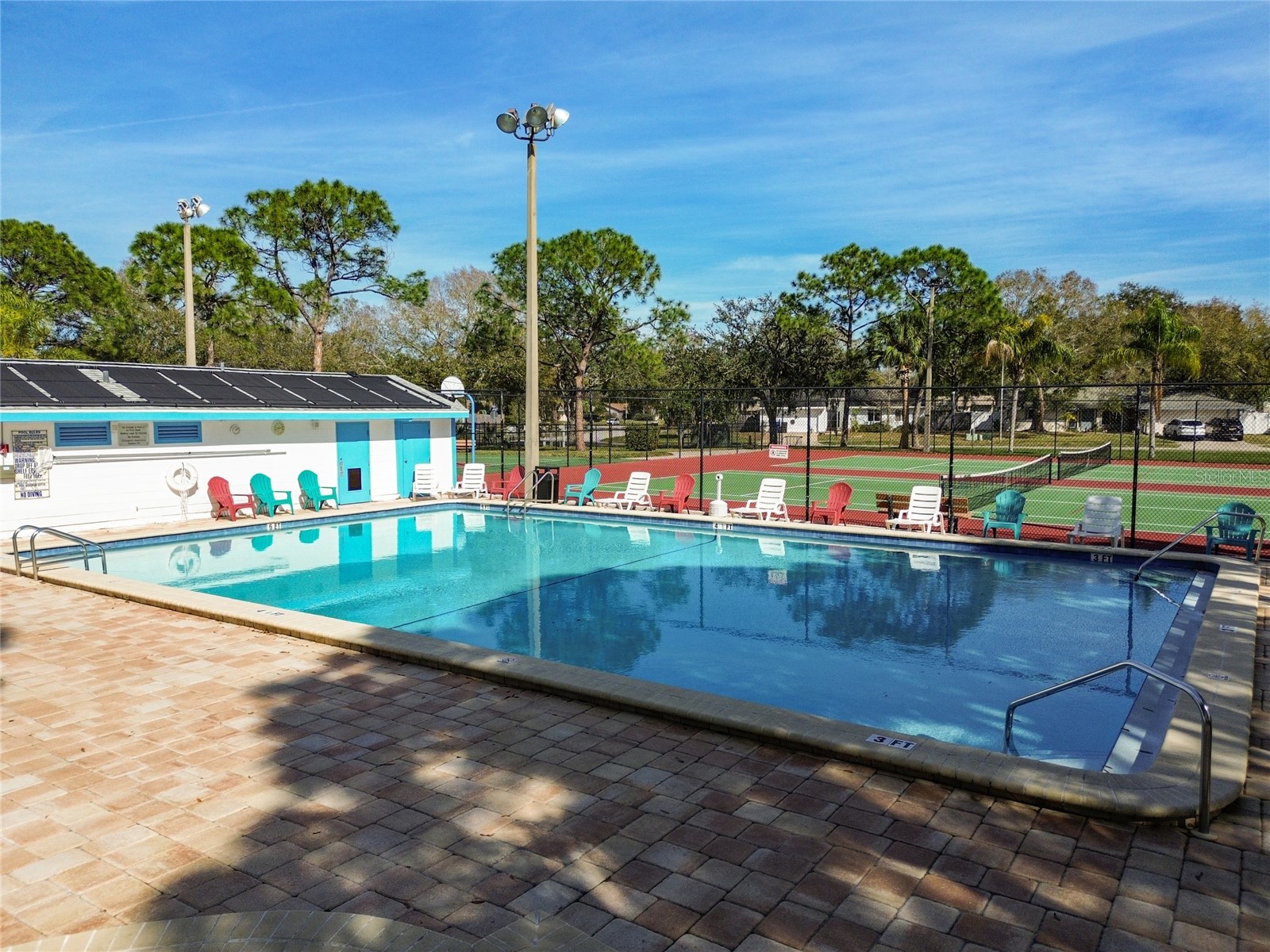 133 Sabal Court #G Oldsmar FL 34677 TB8514567 image45
