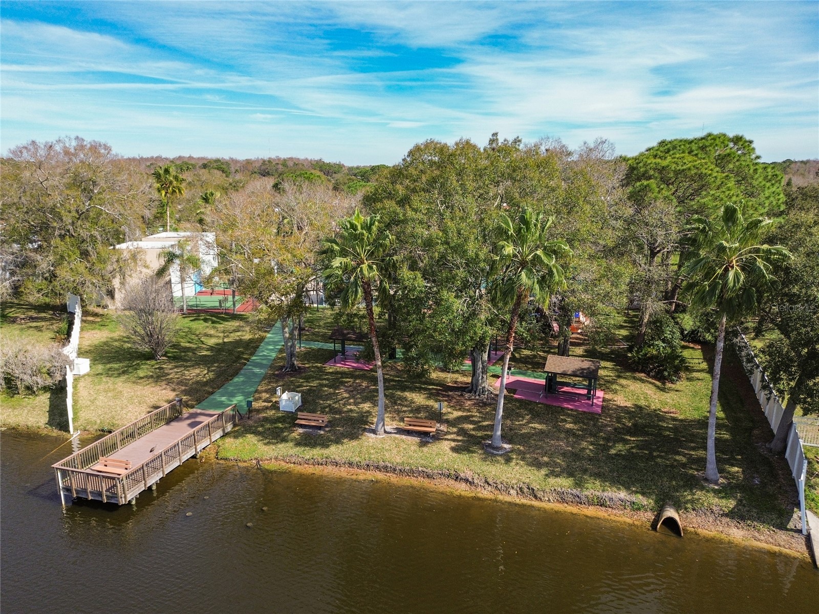 133 Sabal Court #G Oldsmar FL 34677 TB8514567 image49