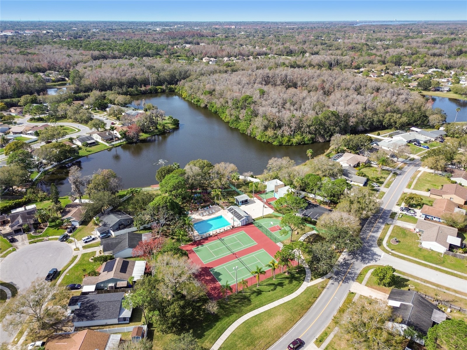 133 Sabal Court #G Oldsmar FL 34677 TB8514567 image50