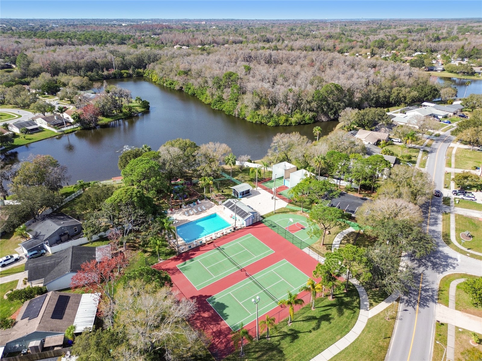 133 Sabal Court #G Oldsmar FL 34677 TB8514567 image51