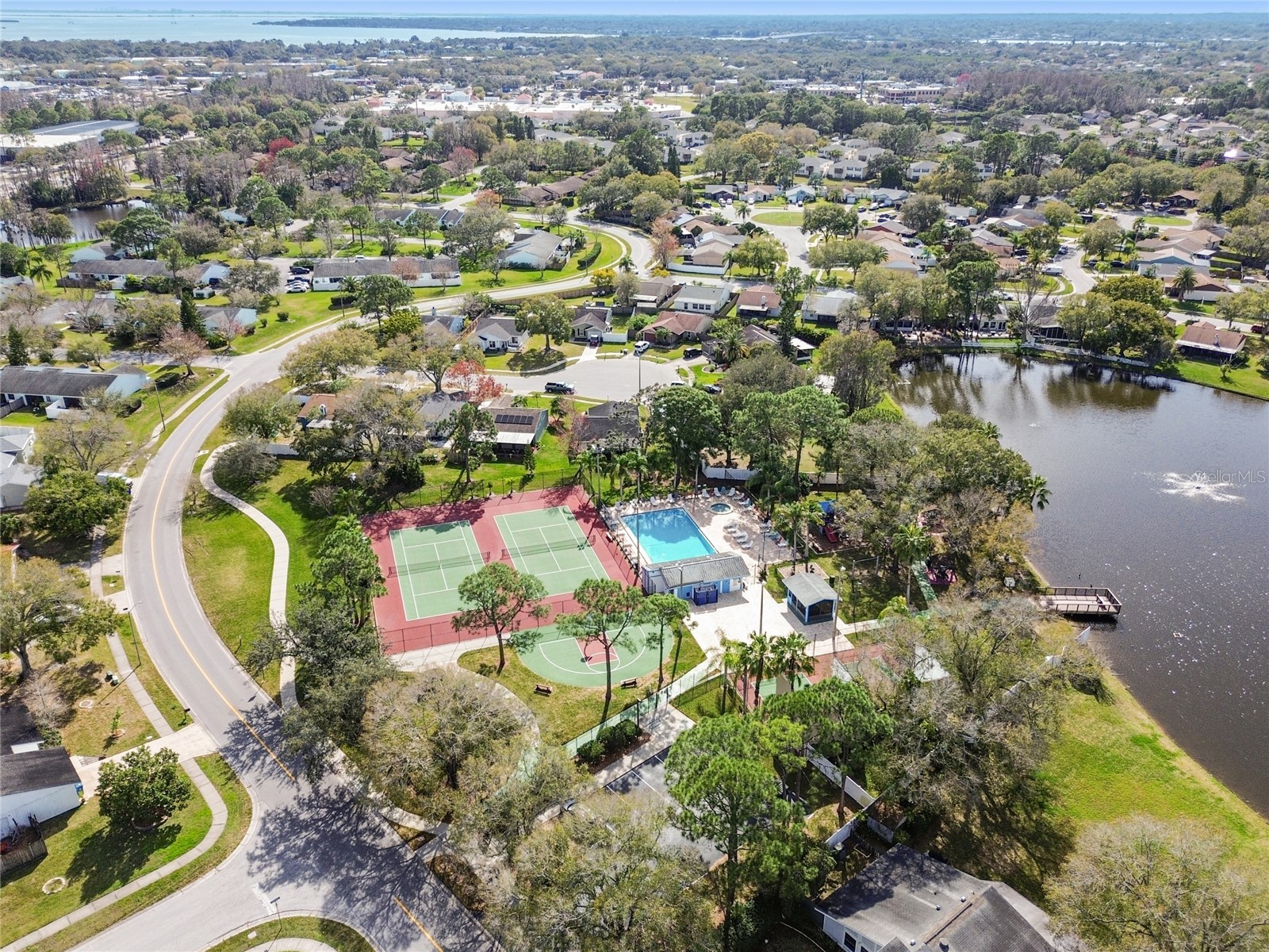 133 Sabal Court #G Oldsmar FL 34677 TB8514567 image52