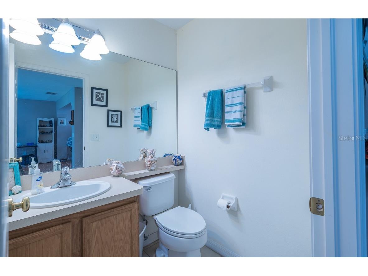 133 Sawtooth Drive Valrico FL 33594 TB8426942 image22