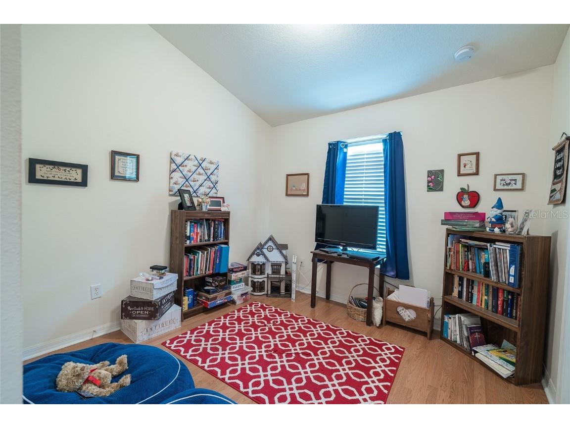 133 Sawtooth Drive Valrico FL 33594 TB8426942 image25