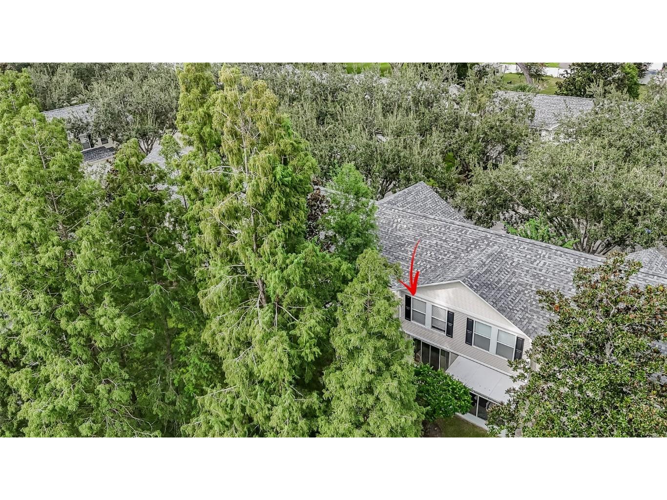 133 Sawtooth Drive Valrico FL 33594 TB8426942 image42