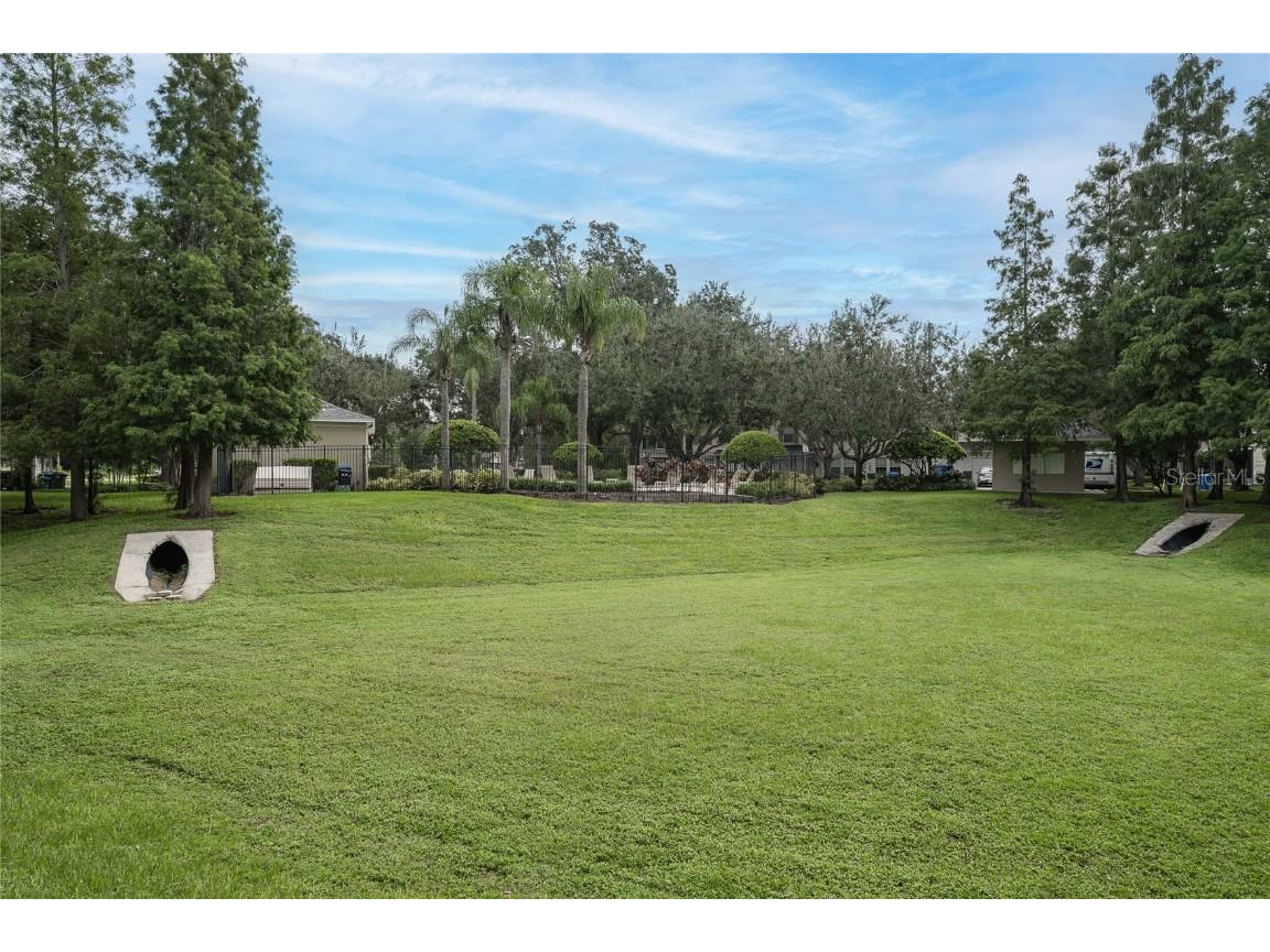 133 Sawtooth Drive Valrico FL 33594 TB8426942 image43