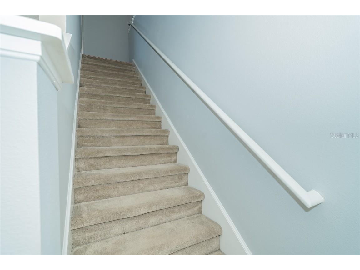 133 Sawtooth Drive Valrico FL 33594 TB8426942 image50