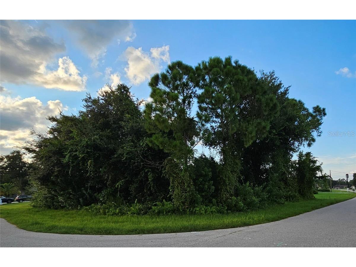 133 Valdiva Street Punta Gorda FL 33983 C7517442 image1