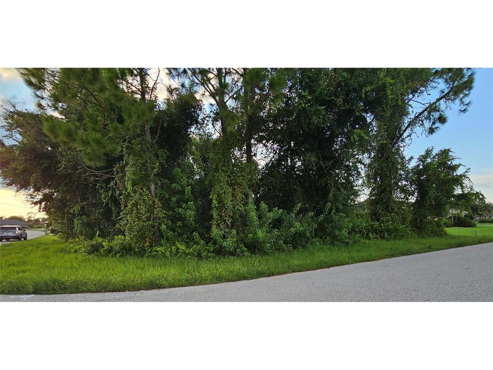 133 Valdiva Street Punta Gorda FL 33983 C7517442 image2