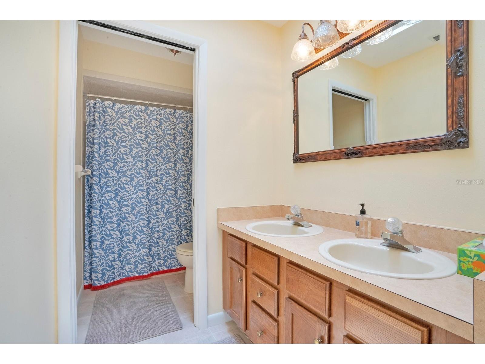 133 Van Fleet Court Auburndale FL 33823 L4962024 image42
