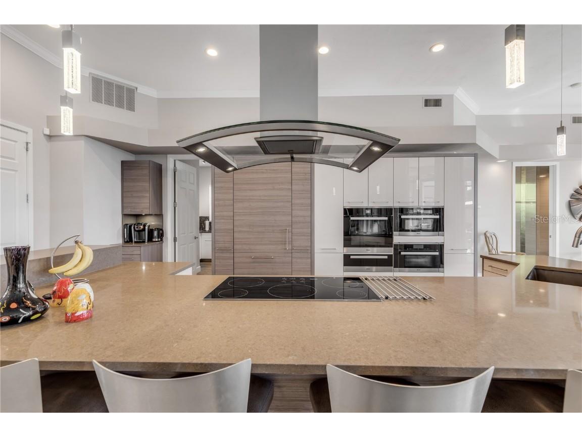 133 Via Capri New Smyrna Beach FL 32169 - INDIAN RIVER NORTH NS1084770 image35