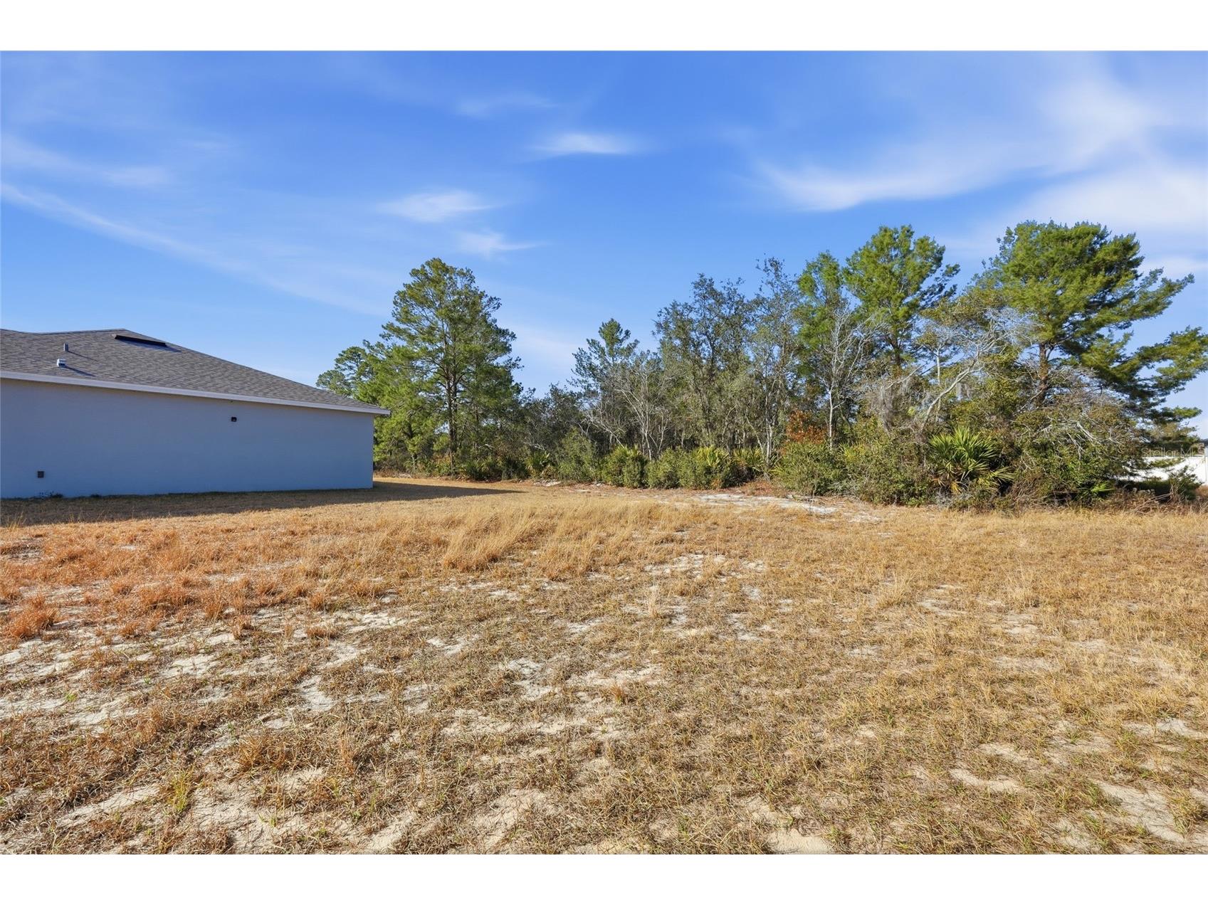 133 Violet Court Kissimmee FL 34759 O6376186 image4