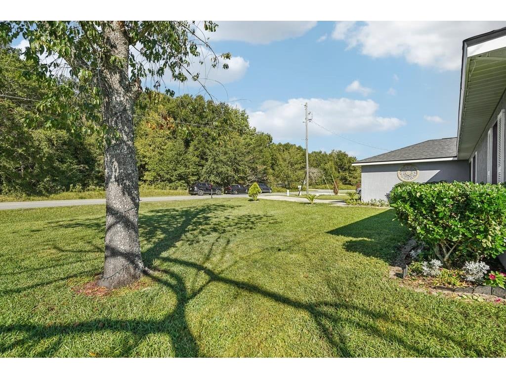 133 Walnut Road Ocala FL 34480 S5136853 image3