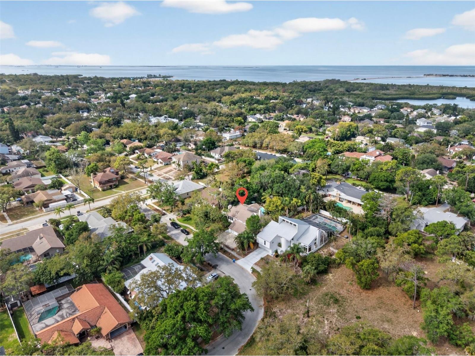 1330 Belcher Drive Tarpon Springs FL 34689 TB8494580 image5