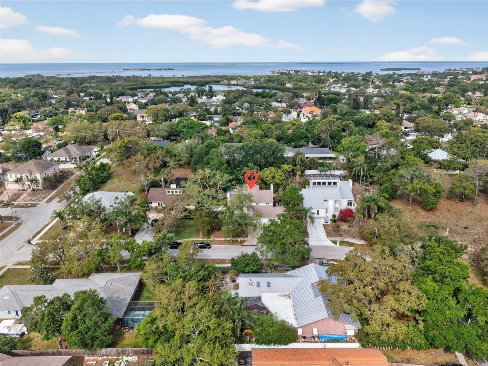 1330 Belcher Drive Tarpon Springs FL 34689 TB8494580 image51