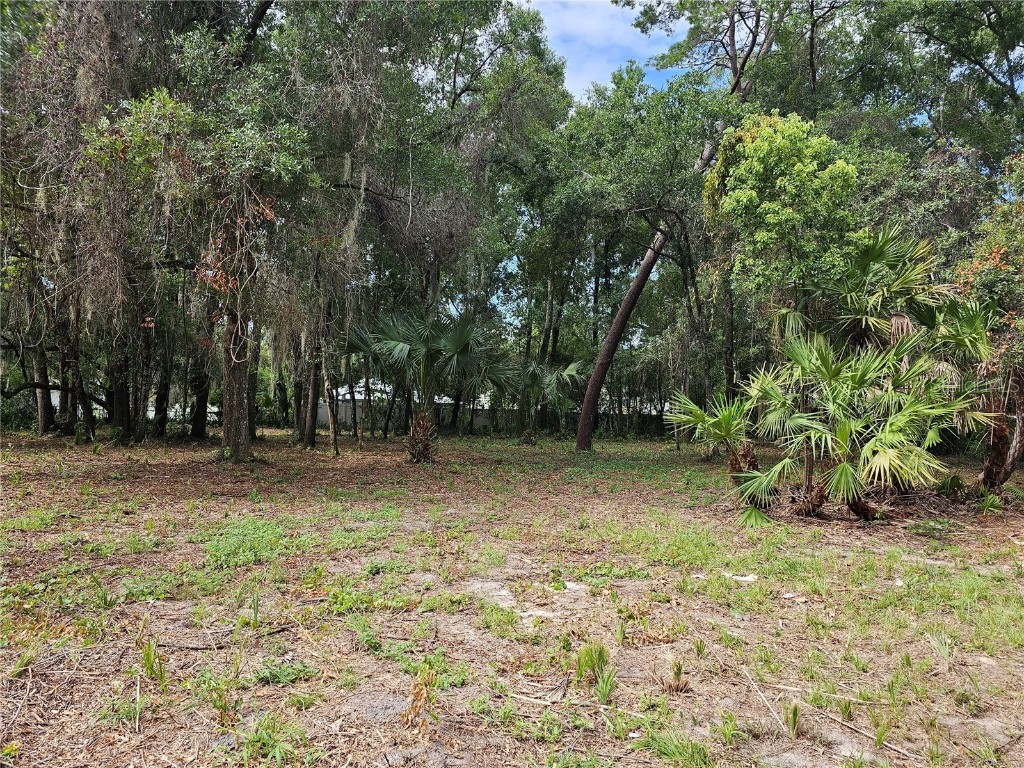 1330 E 9th Avenue Mount Dora FL 32757 - MOUNT DORA CHAIN OF LAKES G5082184 image1