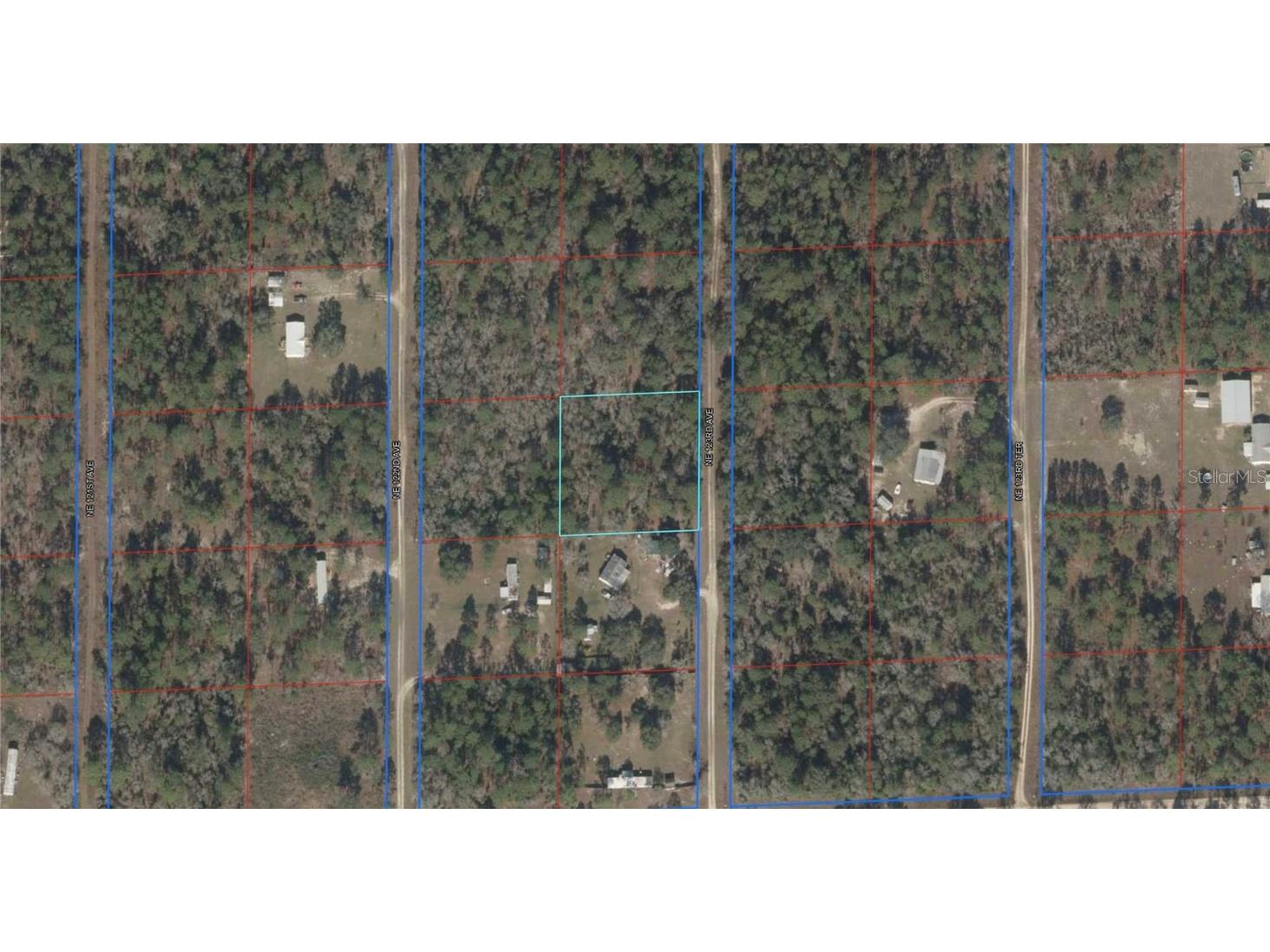 1330 NE 123rd Avenue Williston FL 32696 O6078456 image1