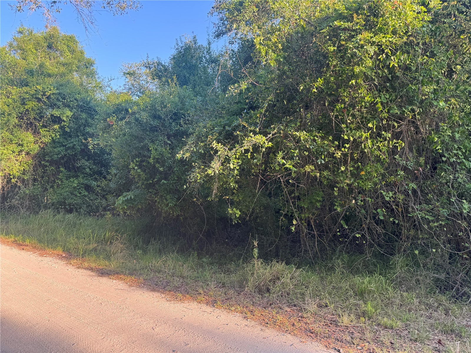 1330 NE River Wood Road Arcadia FL 34266 - PEACE RIVER C7508109 image1