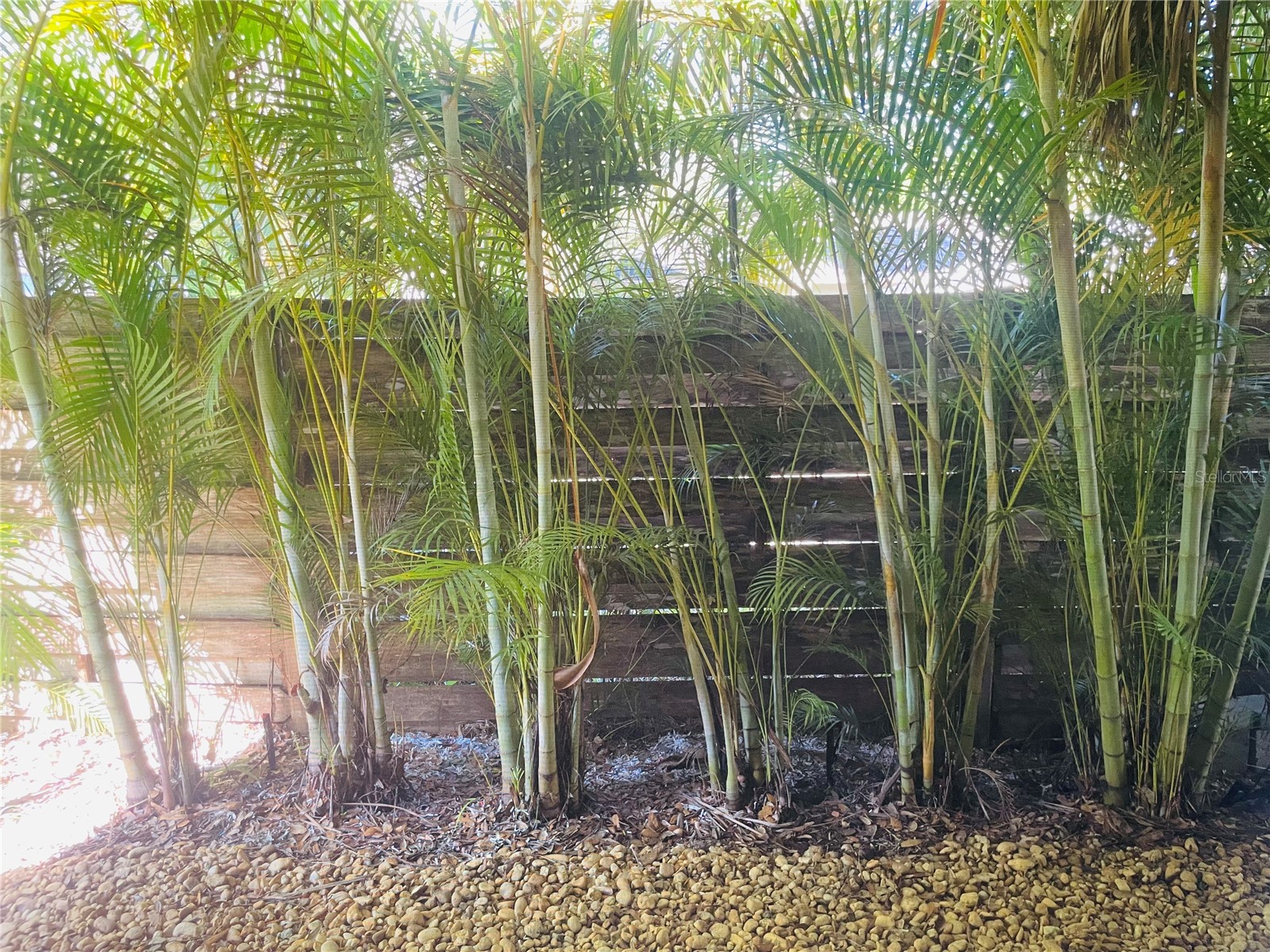 1330 S Jefferson Avenue Sarasota FL 34239 A4685616 image27